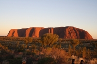 Radioisotopes (ANSTO - Australian Nuclear Science and Technology Organisation) Australia