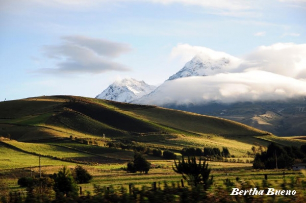 Photo credit: Bertha Bueno, Ecuador